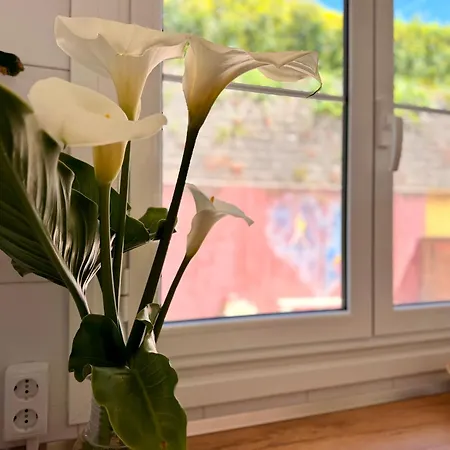 Tatil Evi Casa Mirador Del Pas - Monabri