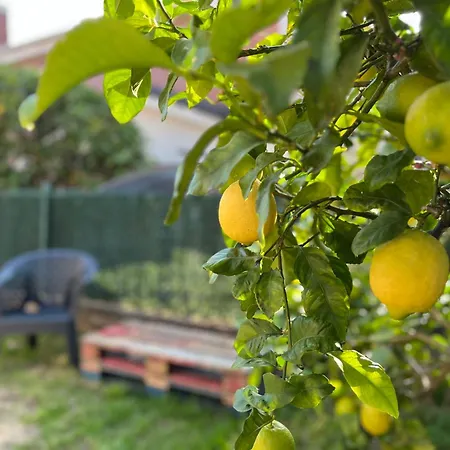 Casa Mirador Del Pas - Monabri *