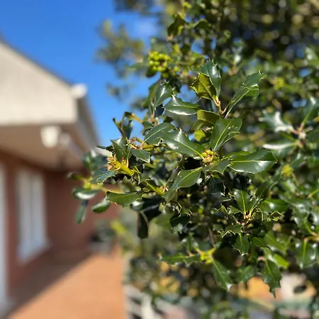 Casa Mirador Del Pas - Monabri