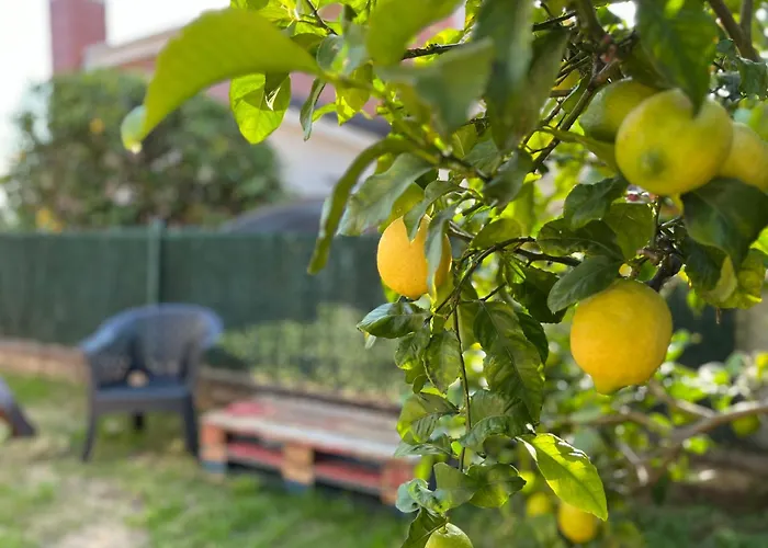 Casa Mirador Del Pas - Monabri *