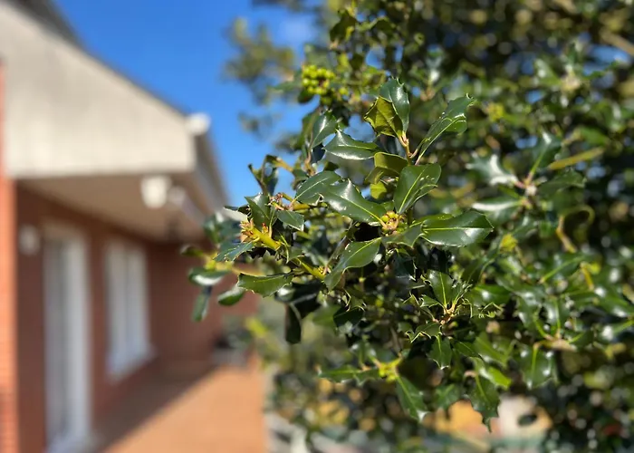 Casa Mirador Del Pas - Monabri